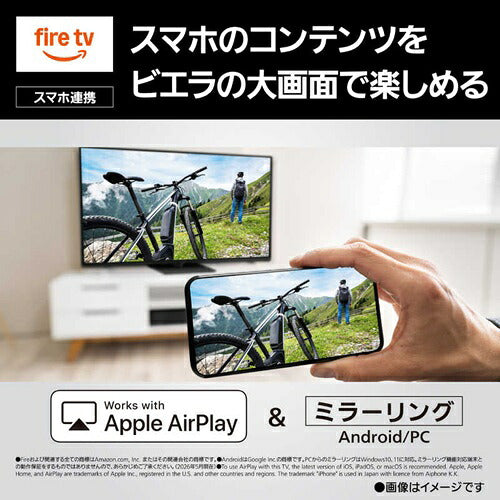 Panasonic パナソニック 55V型 4K液晶テレビ ビエラ TV-55W93C