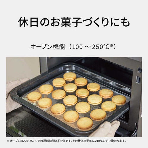 Panasonic パナソニック オーブンレンジ NE-MS4E-K 26L ブラック