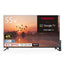 ORION オリオン 55V型 4Kチューナー内蔵 GoogleTV OLS55RD20
