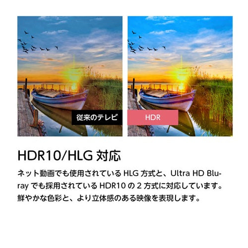 ORION オリオン 55V型 4Kチューナー内蔵 GoogleTV OLS55RD20