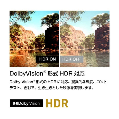 ORION オリオン 55V型 4Kチューナー内蔵 GoogleTV OLS55RD20