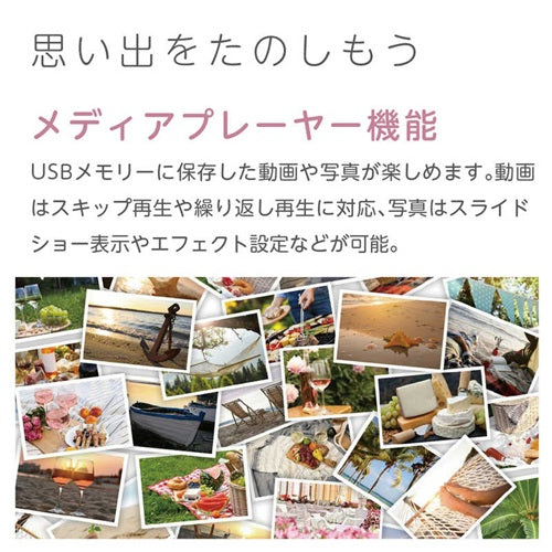 ORION オリオン 55V型 4Kチューナー内蔵 GoogleTV OLS55RD20