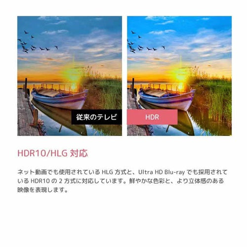 ORION オリオン 24V型 ハイビジョン GoogleTV OLS24WD20