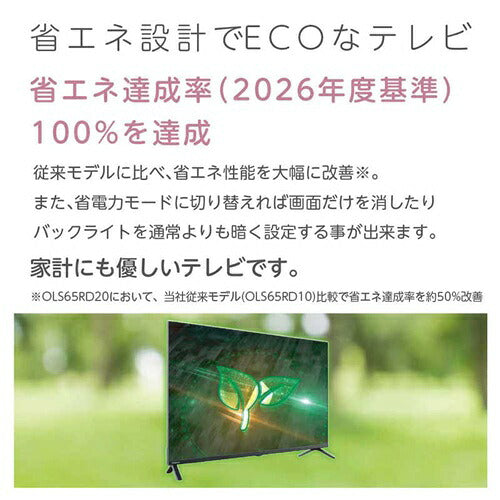 ORION オリオン 40V型 フルハイビジョン GoogleTV OLS40WD20