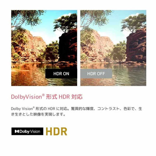ORION オリオン 65V型 4Kチューナー内蔵 GoogleTV OLS65RD20