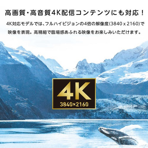ORION オリオン 65V型 4Kチューナー内蔵 GoogleTV OLS65RD20