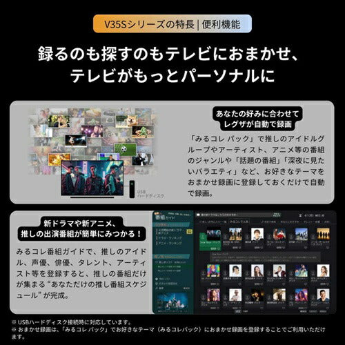 テレビ 24型 REGZA 24V35S ハイビジョン 液晶 地デジ BS CS 外付けHDD対応 V35Sシリーズ