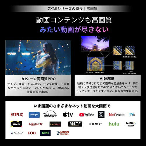 TVS REGZA レグザ 65V型 RGB Mini LED 4K液晶テレビ REGZA 65ZX3S
