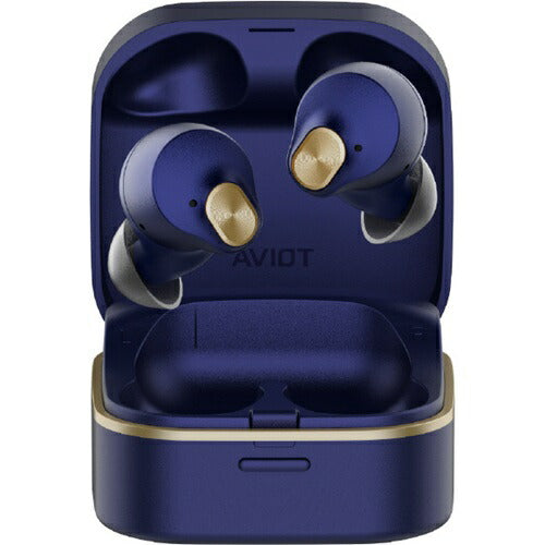 ワイヤレスイヤホン Bluetooth LDAC ハイレゾ対応 ワイヤレス充電 防水 IPX4相当 AVIOT ラピスブルー プレシードジャパン TE-Q3R-BL