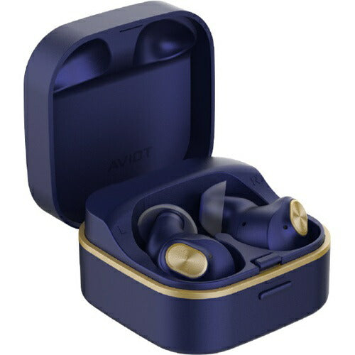 ワイヤレスイヤホン Bluetooth LDAC ハイレゾ対応 ワイヤレス充電 防水 IPX4相当 AVIOT ラピスブルー プレシードジャパン TE-Q3R-BL