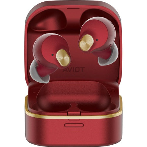 ワイヤレスイヤホン Bluetooth LDAC ハイレゾ対応 ワイヤレス充電 防水 IPX4相当 AVIOT レッドスピネル プレシードジャパン TE-Q3R-RD