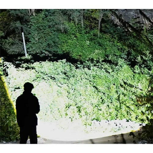 TERAS USB充電式 3ウェイハンディカラビナライト ホワイト トレードワン 30965