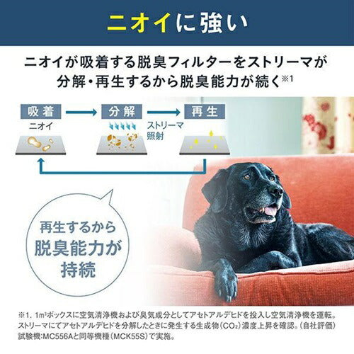 【2025年11月1日発売】 空気清浄機 ダイキン MC556A-W ホワイト ストリーマ搭載 55タイプ 花粉対策 風邪対策 脱臭