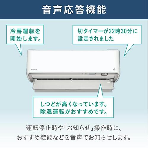 標準取付工事別 エアコン 本体のみ 14畳 ダイキン工業 うるさらX Rシリーズ 単相200V AN406ARP-W ホワイト