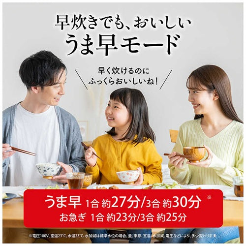 MITSUBISHI 三菱電機 炭炊釜 IHジャー炊飯器 NJ-VG10J-B 5.5合炊き 備長炭コート 2層厚釜 黒曜