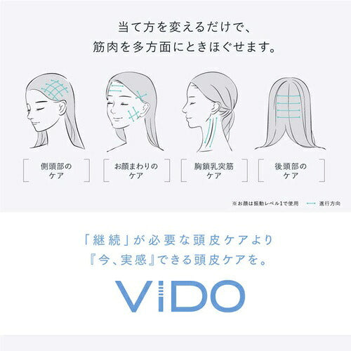 MYTREX マイトレックス 横振動モーションブラシ VIDO MT-VD22B