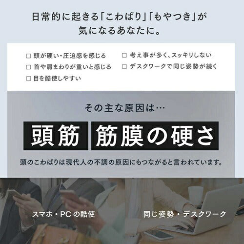 MYTREX マイトレックス 横振動モーションブラシ VIDO MT-VD22B
