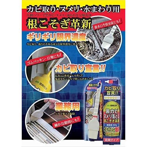 宮崎化学 根こそぎ革新 業務用 専用ハケ付 300g 黒カビ ヌメリ落とし カビ取り