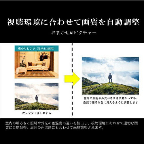75V型 4Kチューナー内蔵液晶テレビ REGZA M550M series 東芝 75M550M