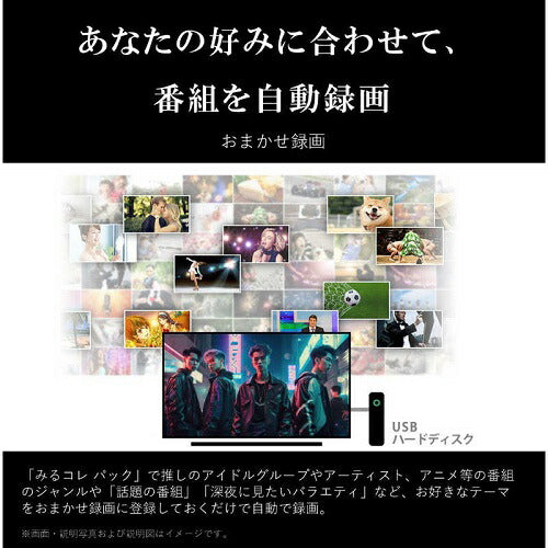 75V型 4Kチューナー内蔵液晶テレビ REGZA M550M series 東芝 75M550M