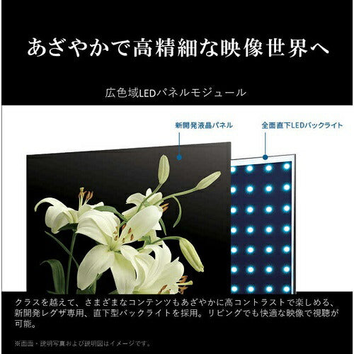 75V型 4Kチューナー内蔵液晶テレビ REGZA M550M series 東芝 75M550M