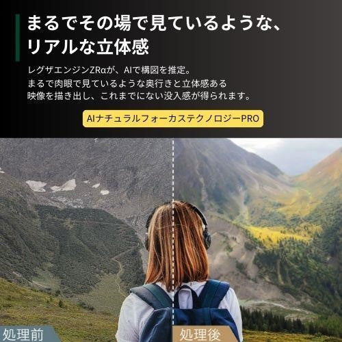 レグザ 4K有機ELテレビ 55V型 タイムシフトマシン対応 55X9900N