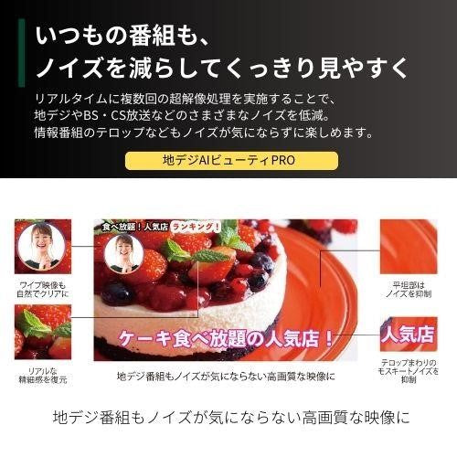 レグザ 4K有機ELテレビ 55V型 タイムシフトマシン対応 55X9900N