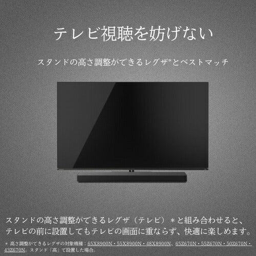 2.1ch レグザサウンドシステム REGZA TS216G