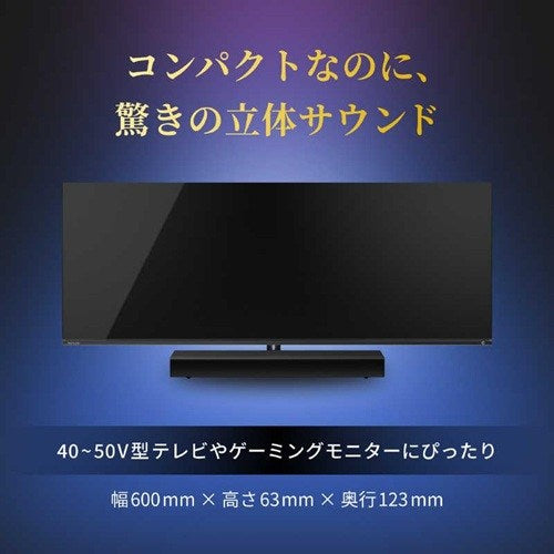 2.0ch レグザサウンドシステム REGZA RA-B100