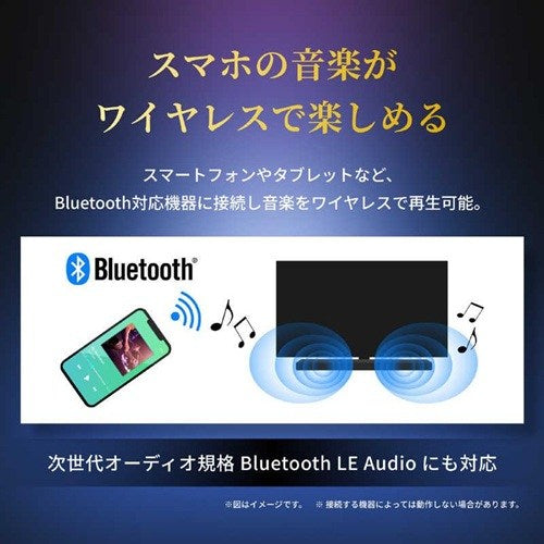 2.0ch レグザサウンドシステム REGZA RA-B100