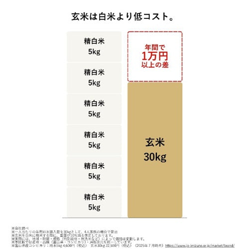 精米機 ライスクリーナー i-rice ブラック 山本電気 YE-RC25A-BK