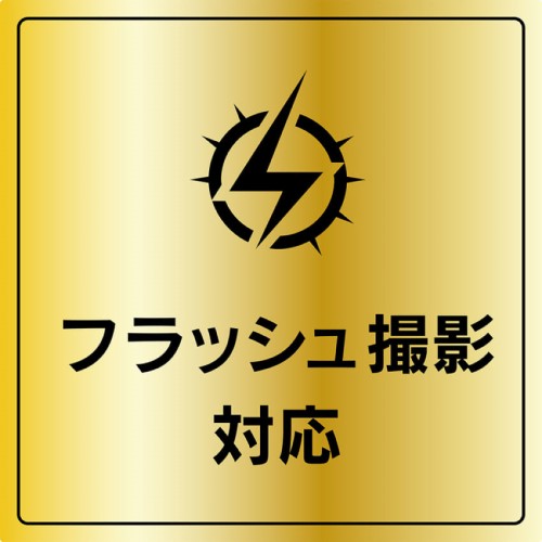 iPhone 16 / iPhone 16 Plus用 精密設計ケース専用 スーパークリア レンズ保護ガラス 光沢 Simplism(シンプリズム) トリニティ TR-IP24ML2-LGL-ARCC