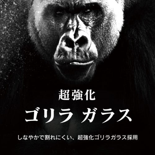 iPhone 16 / iPhone 16 Plus用 [PicPro] ゴリラガラス クリア カメラレンズ保護ガラス 光沢 Simplism(シンプリズム) トリニティ TR-IP24ML2-LCA-GOCCC