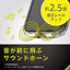 iPhone 16e [LIGHT SHIELD Solid] 超精密設計 衝撃吸収 ハイブリッドクリアケース クリア Simplism トリニティ TR-IP25S-LDSL-CLCL