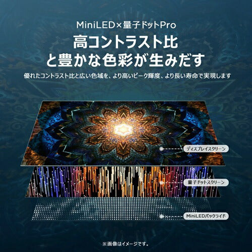 4K液晶テレビ TCL 65V型 65C79B 量子ドット MiniLED 倍速 Google TV AirPlay2 ネット動画 HDMI2.1 ゲームモード Dolby Atmos 4Kチューナー内蔵