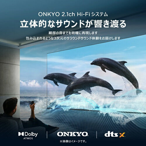4K液晶テレビ TCL 65V型 65C79B 量子ドット MiniLED 倍速 Google TV AirPlay2 ネット動画 HDMI2.1 ゲームモード Dolby Atmos 4Kチューナー内蔵