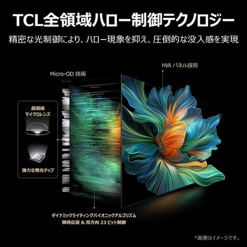 TCL ティーシーエル 75V型 4K量子ドット Mini LED液晶テレビ 75C6K