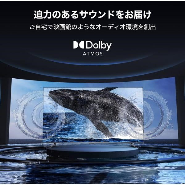 チラシ掲載商品 43型デジタルハイビジョン液晶テレビ TCL 43P636