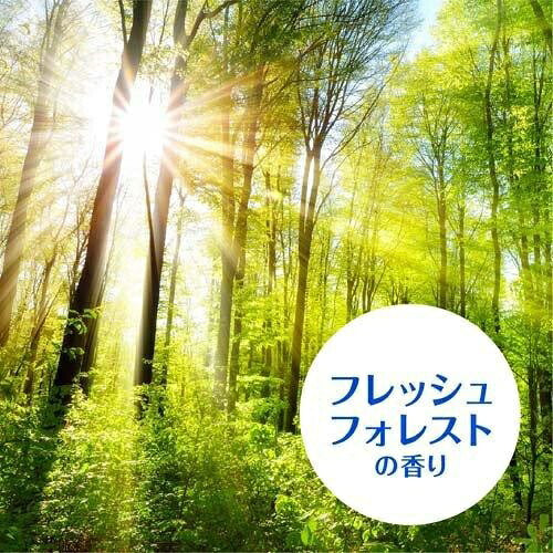 Earth アース製薬 らくハピ エアコンの防カビ 貼るタイプ 1個