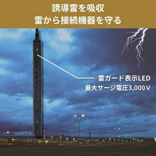 電源タップ USB 耐雷 スリム 回転USBタップ（4個口/2m/USBポート A×1、C×1） ブラック エルパ WB-RSL4222SUCBK