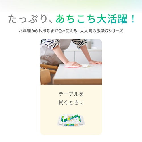 ネピア 激吸収キッチンタオル ４ロール100カット アスト