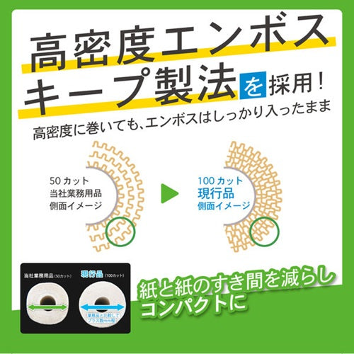 ネピア 激吸収キッチンタオル ４ロール100カット アスト
