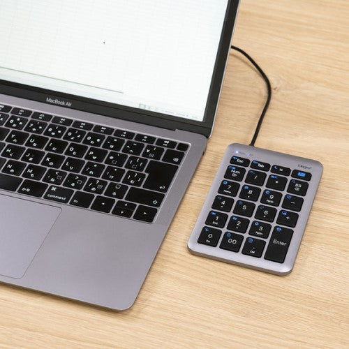 Type-C有線テンキー 22ショートカット グレーブラック ナカバヤシ TNK-SU235GYBK