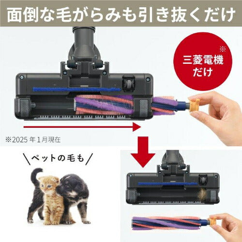 紙パック式掃除機 ホワイトゴールド 三菱 TC-FD2E-N