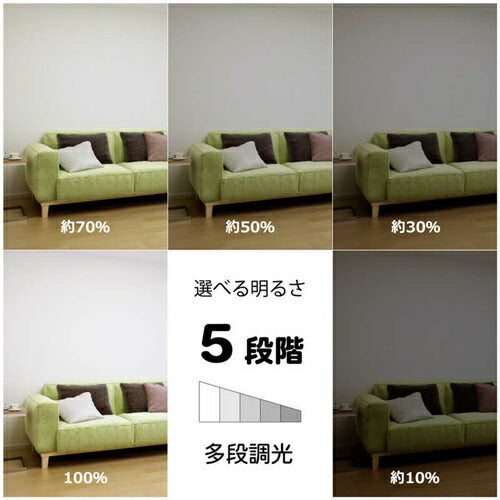 LEDシーリングライト ホタルクス HLDC12401SG ～12畳用 昼白色