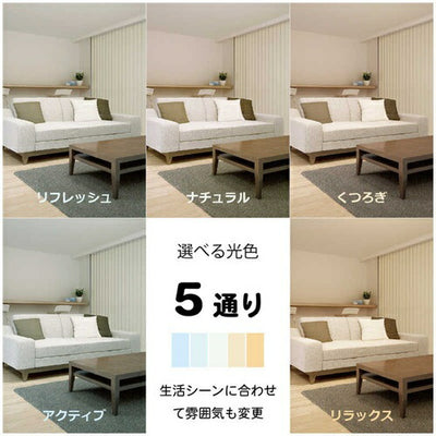 LEDシーリングライト ホタルクス HLDC06401SG ～6畳用 昼白色