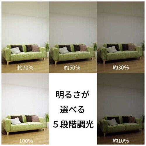 LEDシーリングライト ホタルクス HLDZ08403SG ～8畳用 昼光色