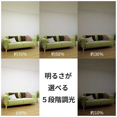LEDシーリングライト ホタルクス HLDZ08403SG ～8畳用 昼光色