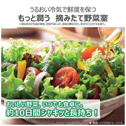 冷蔵庫 6ドア グレインアイボリー 508L 東芝 GR-Y510FZ-UC