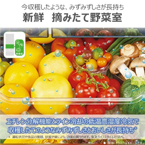 冷蔵庫 509L 6ドア 観音開き VEGETA サテンゴールド 東芝 GR-Y510FH(EC)